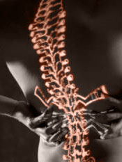 Spinal Cord Injuries